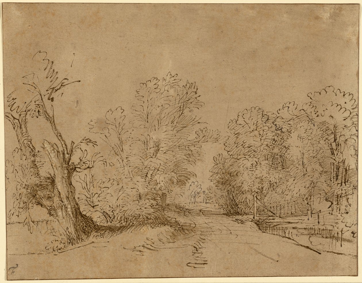 Egy erdős út alkotó: Rembrandt Harmensz. van Rijn