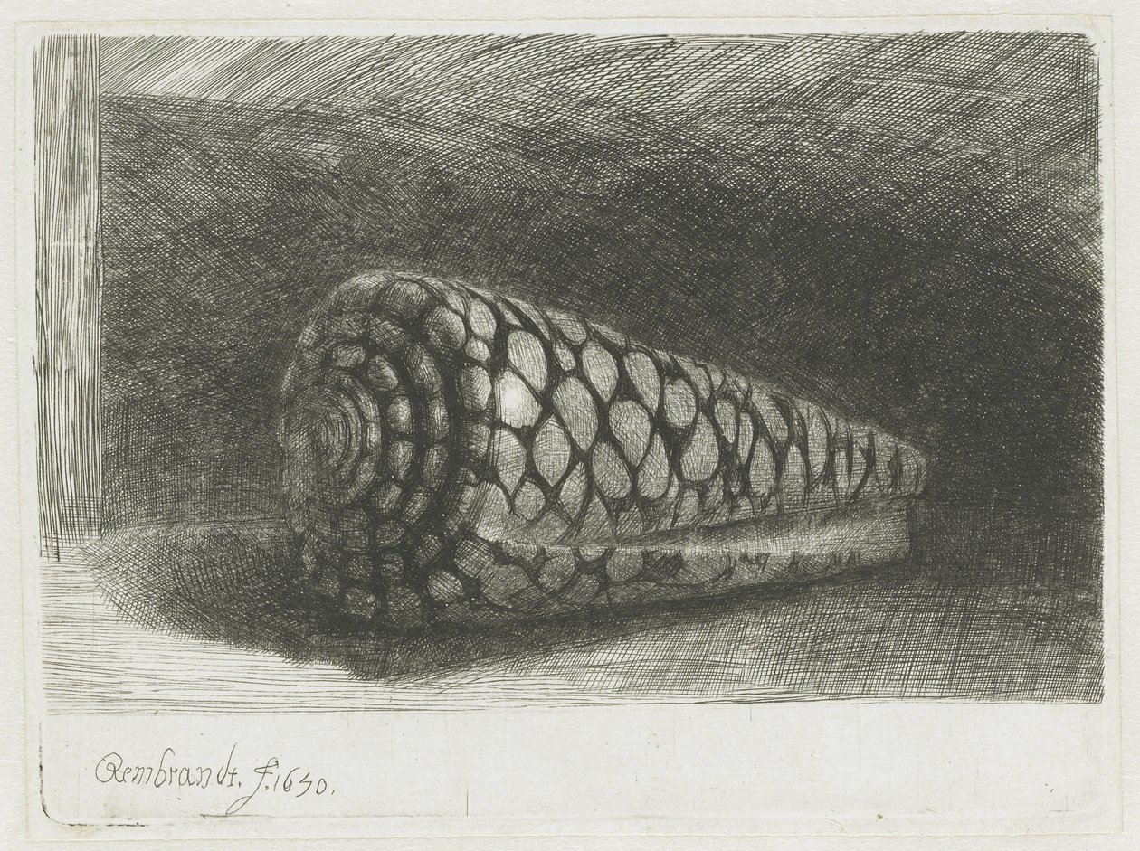 A héj alkotó: Rembrandt van Rijn