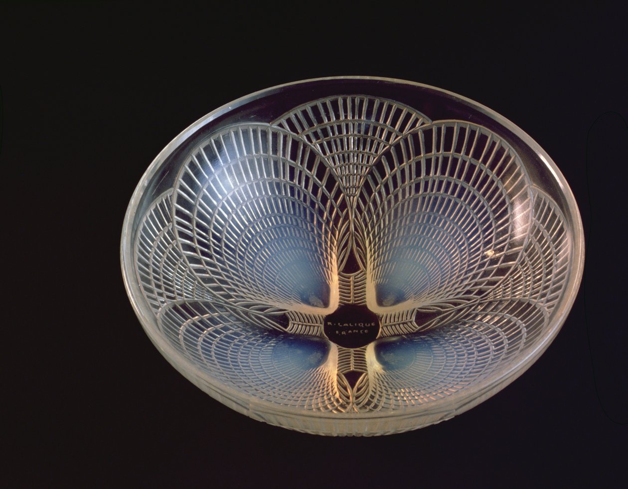 Coquilles, egy opálos üvegváza, amelyet Lalique fésűkagylóhéja öntött alkotó: Rene Jules Lalique