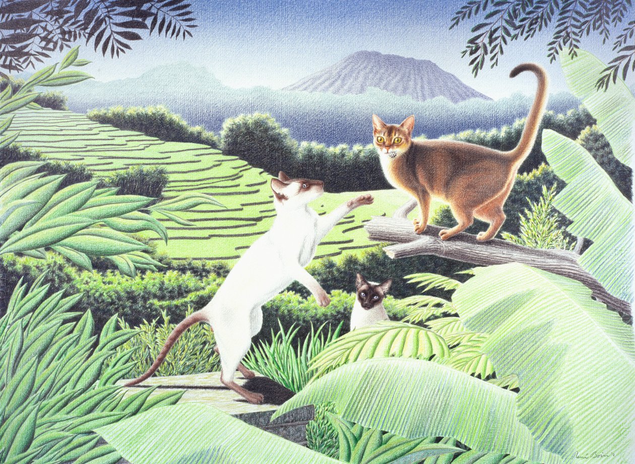 Bali, 2002, Színes ceruzarajz papírra alkotó: Rene Boin