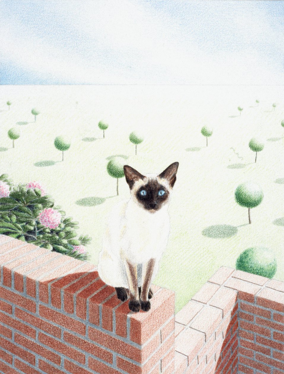 Sake alkotó: Rene Boin