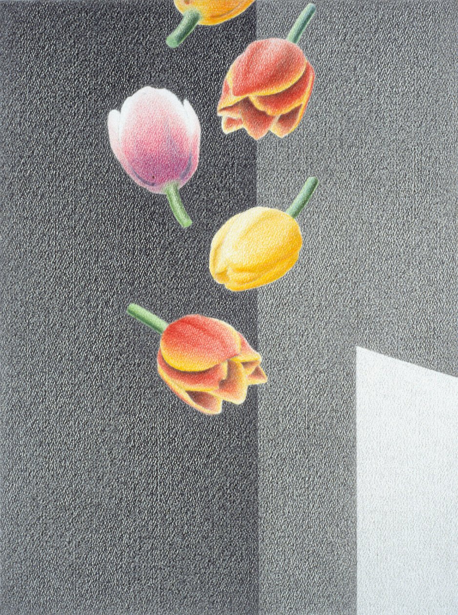 Tulipánok alkotó: Rene Boin
