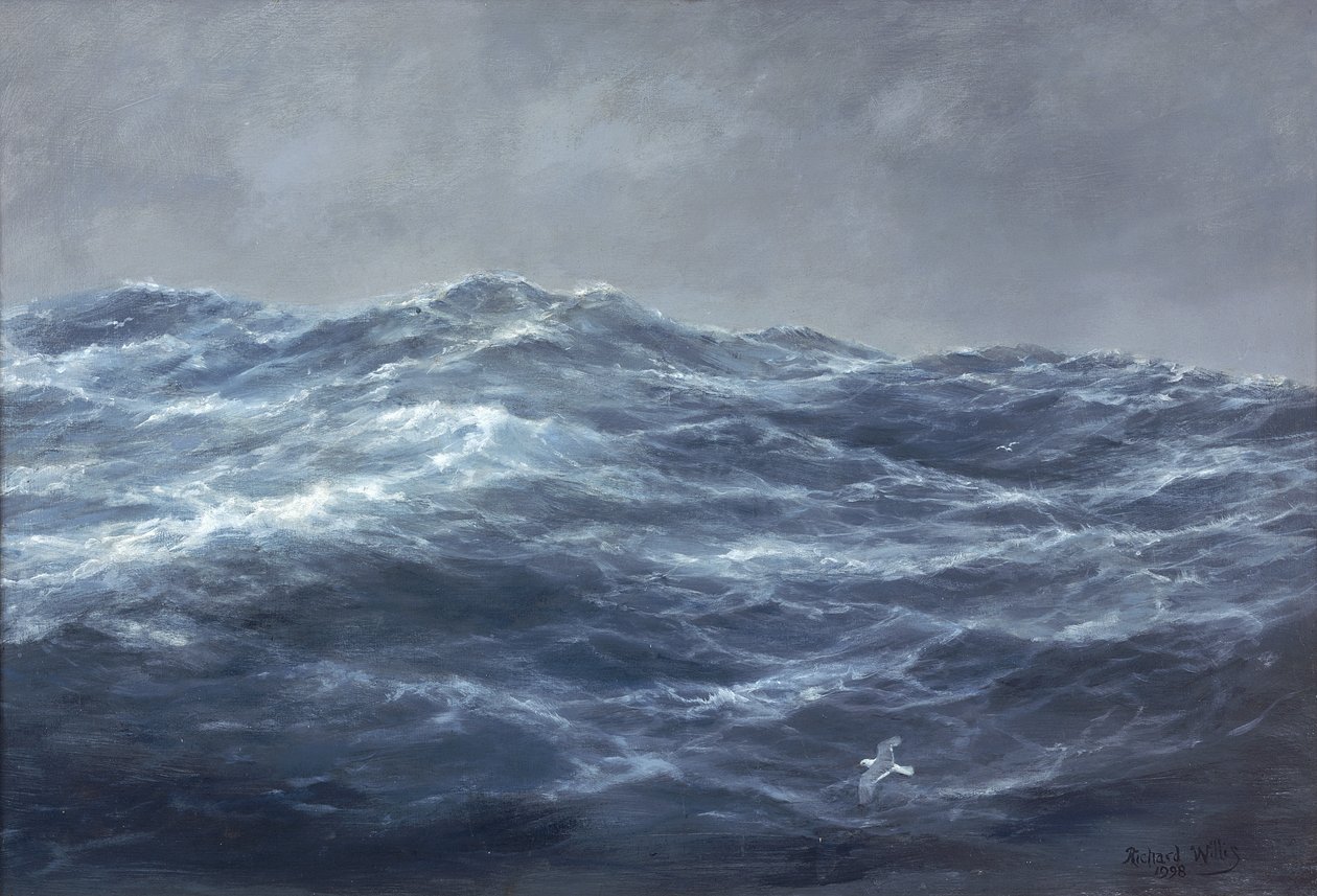 A sirály útja alkotó: Richard Willis
