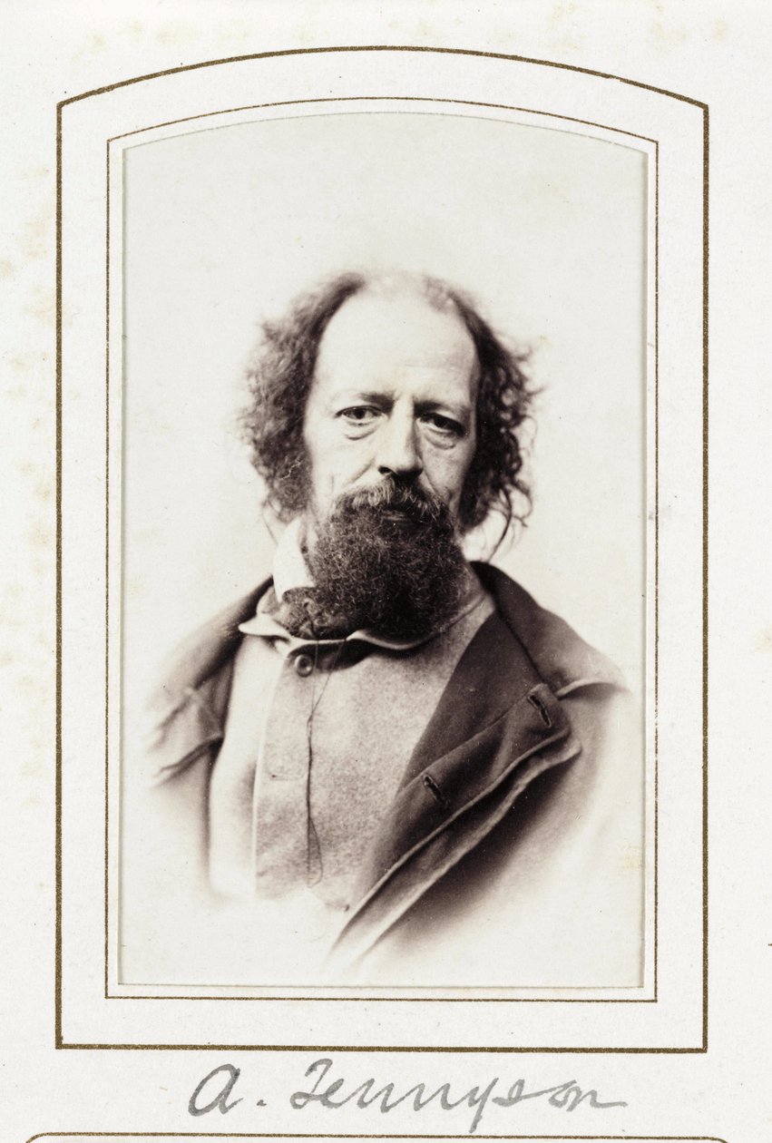 A Tennyson, 1864 alkotó: John Pardon