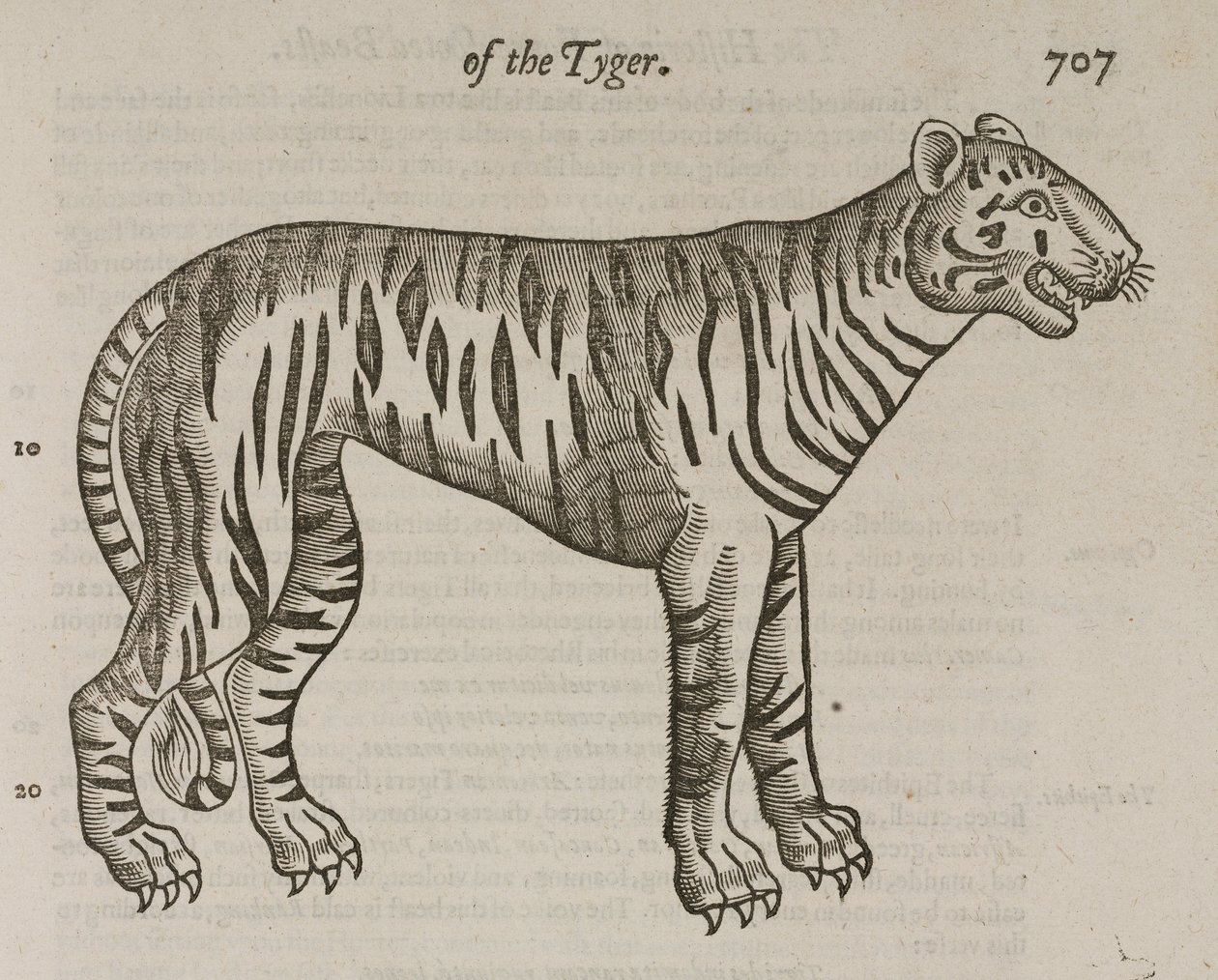 A tigris alkotó: John Pardon