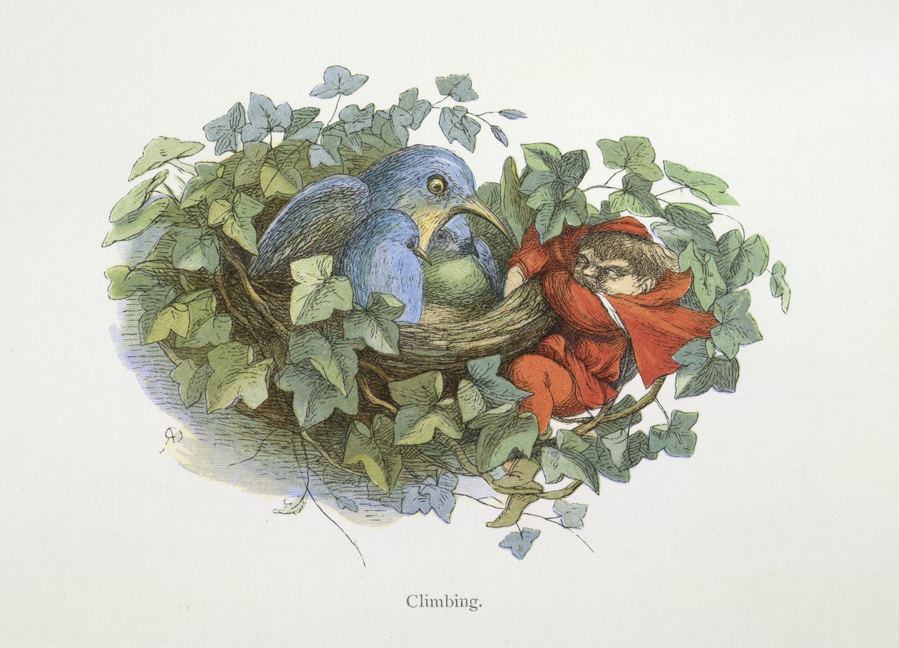 Mászó alkotó: Richard Doyle