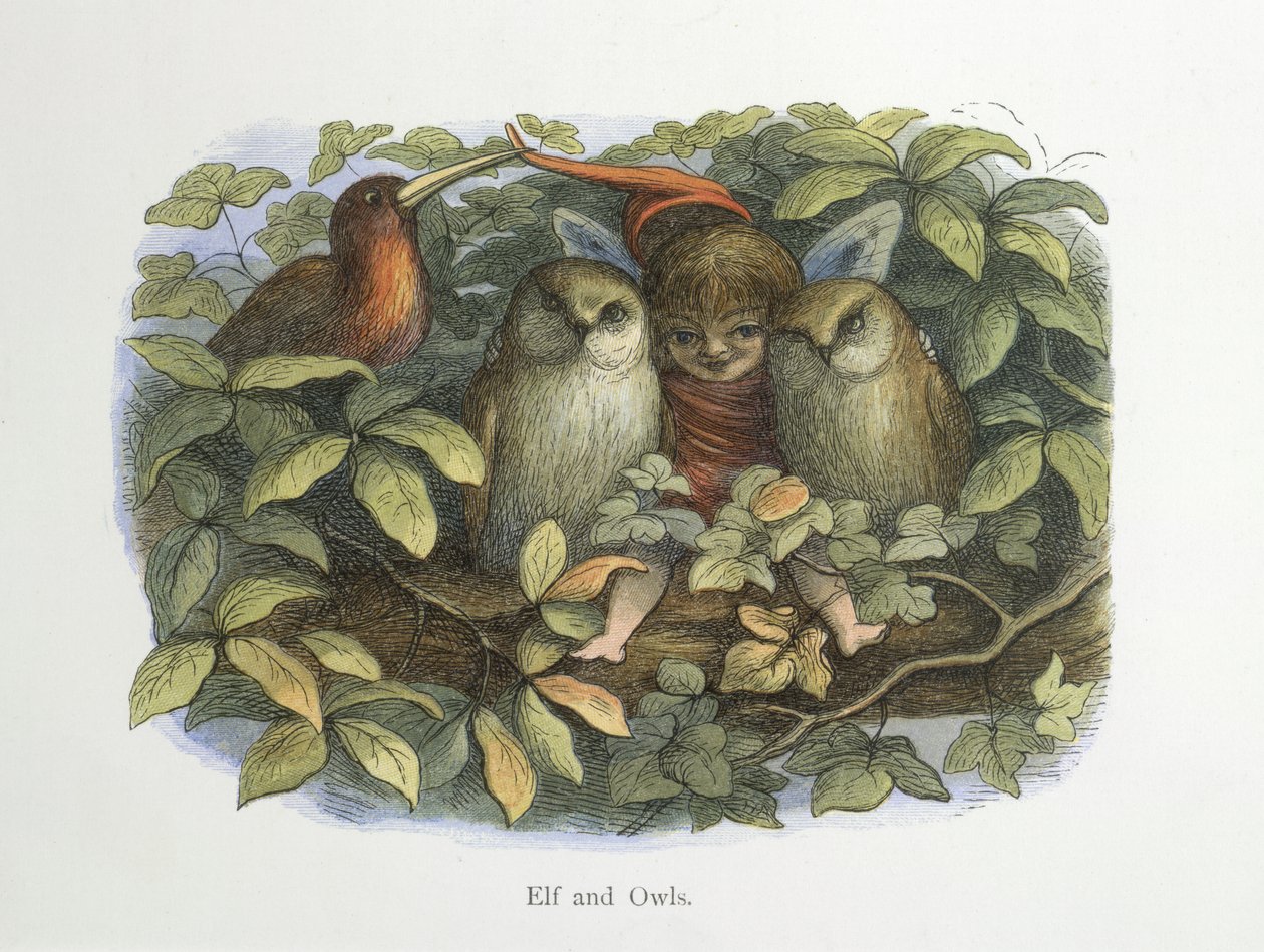Elf és baglyok alkotó: Richard Doyle