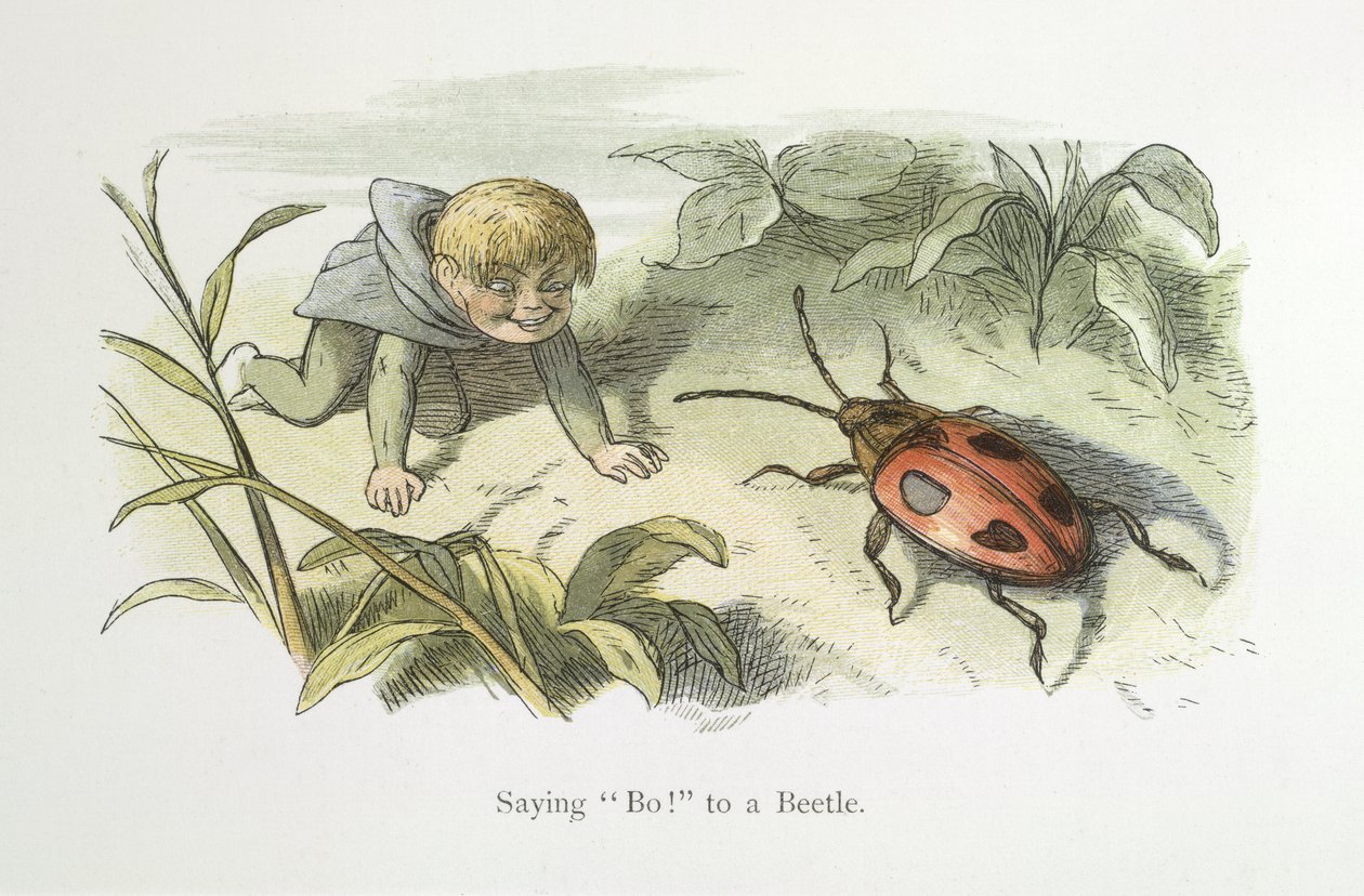Nemet mond! egy bogárnak alkotó: Richard Doyle