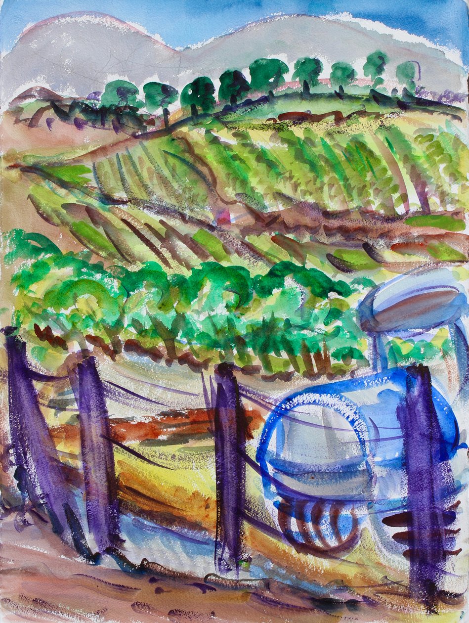 Blue Tractor, Napa Valley, 2017 alkotó: Richard Fox