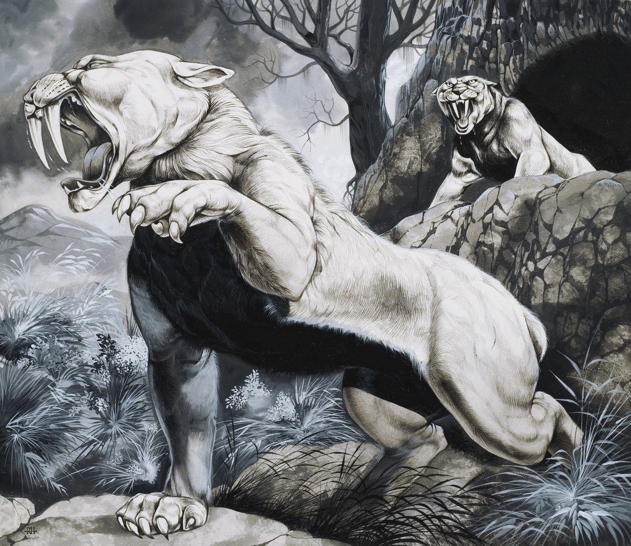 Szablyafogú tigrisek (gouache, papír) alkotó: Richard Hook