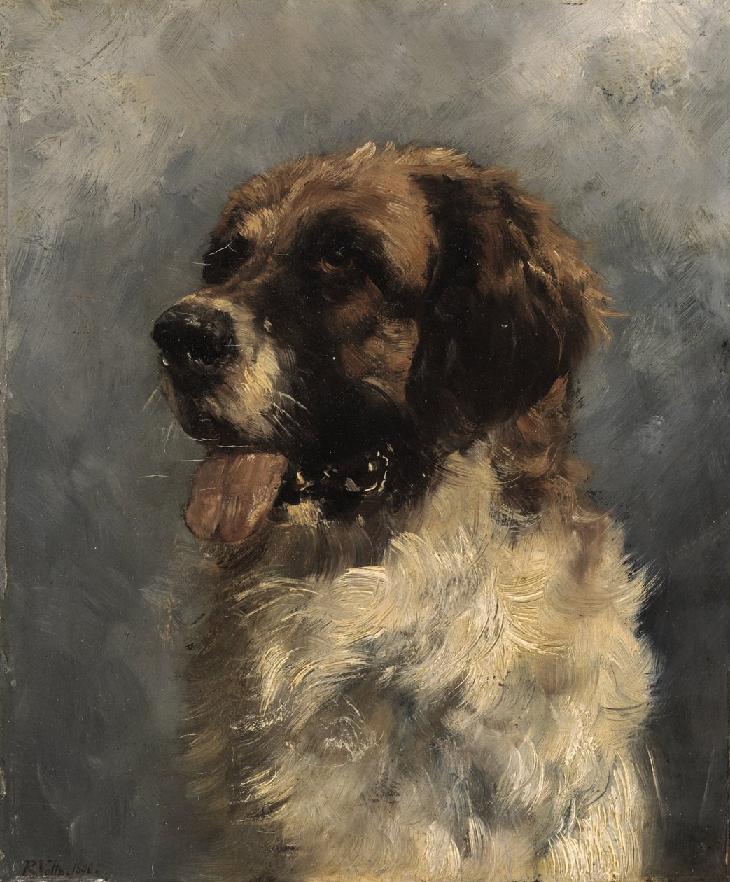 Bernhardiner Hund alkotó: Richard Voltz