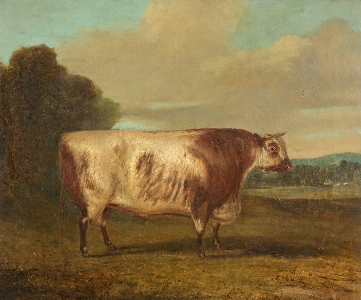 Egy bika, 1862 alkotó: Richard Whitford