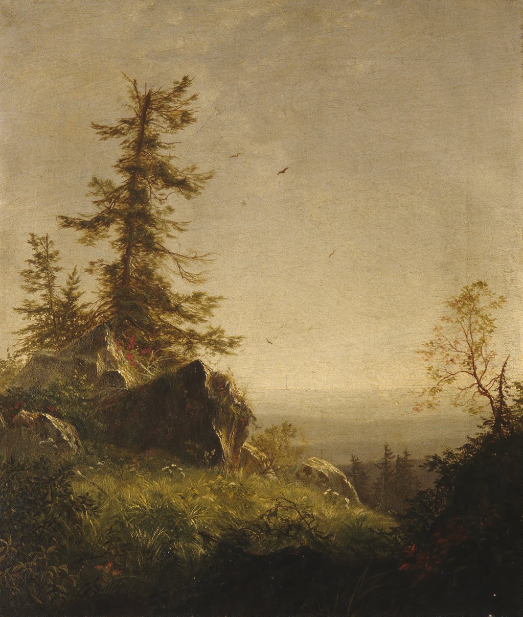 Reggel a hegyen, 1856. alkotó: Richard William Hubbard