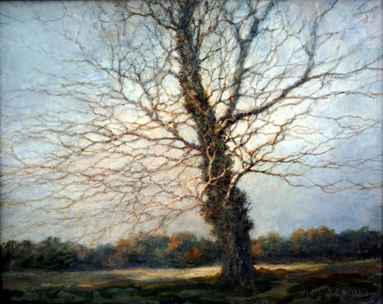 Napsütötte fa alkotó: Richard Willis