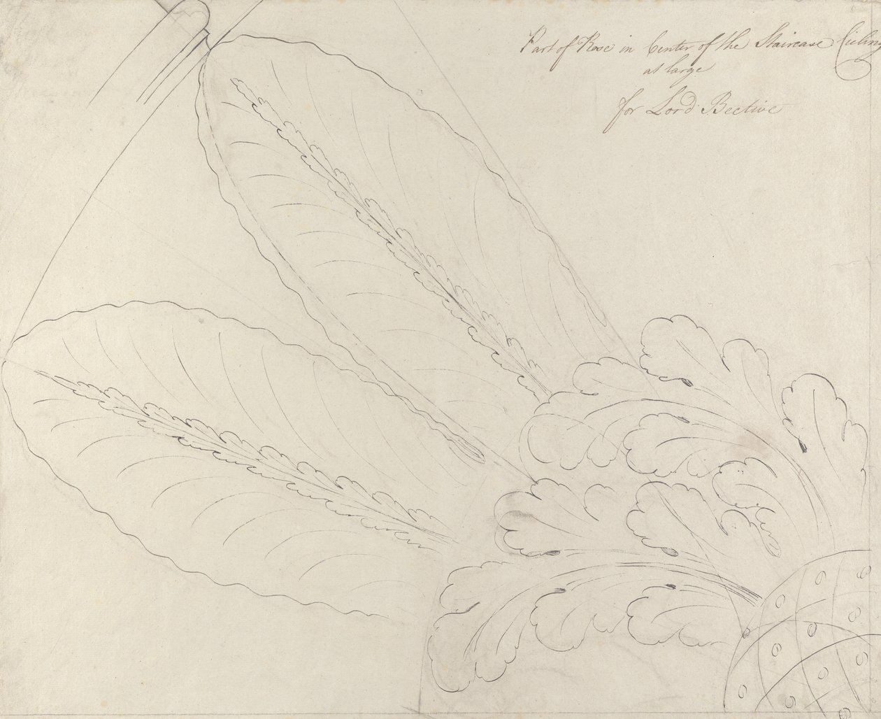 Mennyezeti rózsa terv a lépcsőházon, Headfort House, 1772 (toll és fekete tinta és grafit vásznon) alkotó: Robert Adam