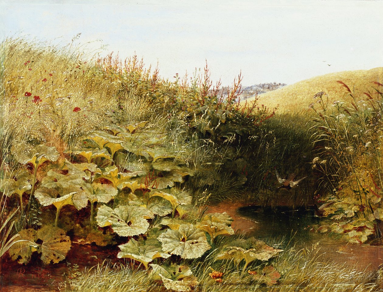 Csendes Dell alkotó: Robert Collinson