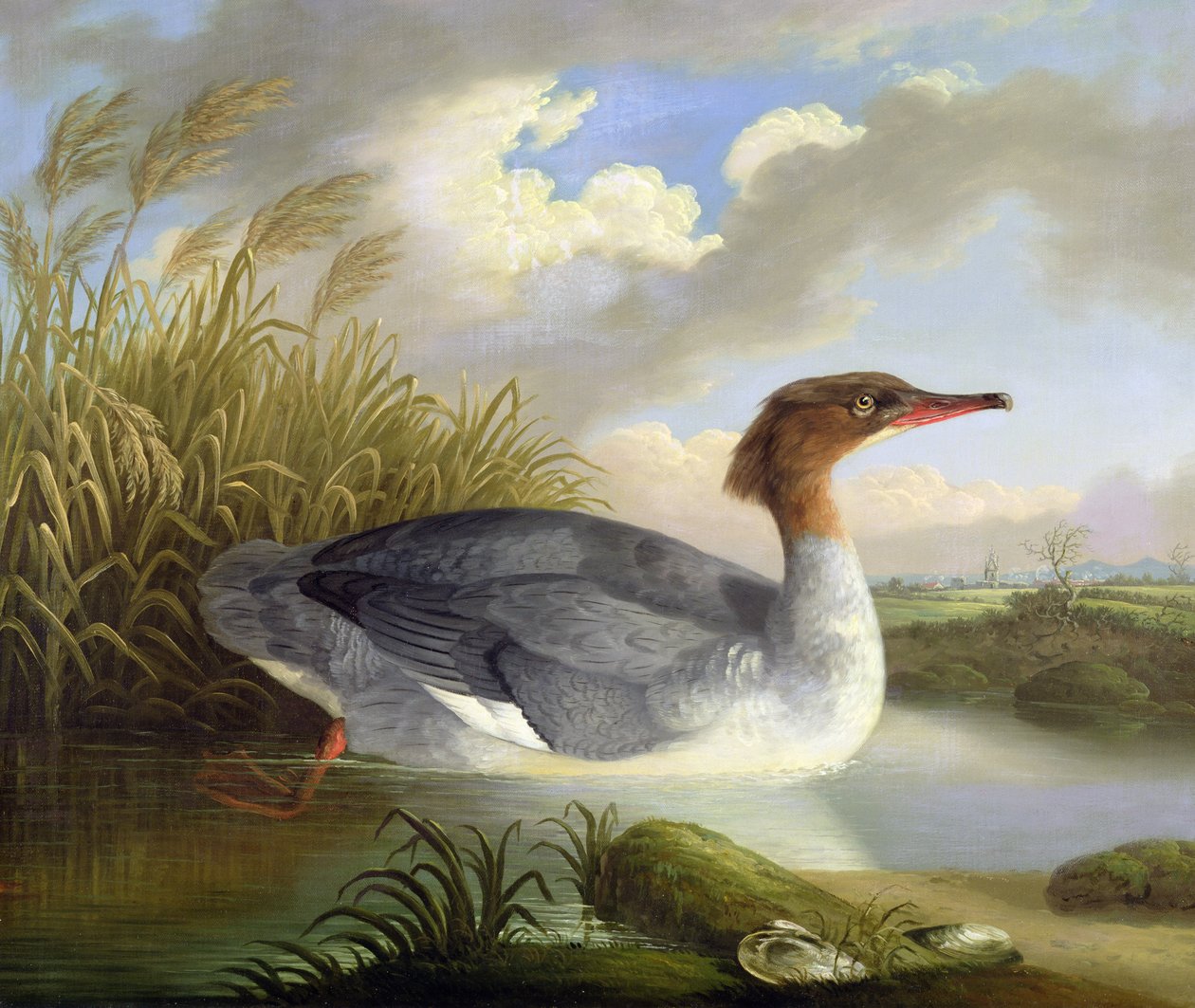 A Dun Diver (Goosander) alkotó: Robert Wilkinson Padley