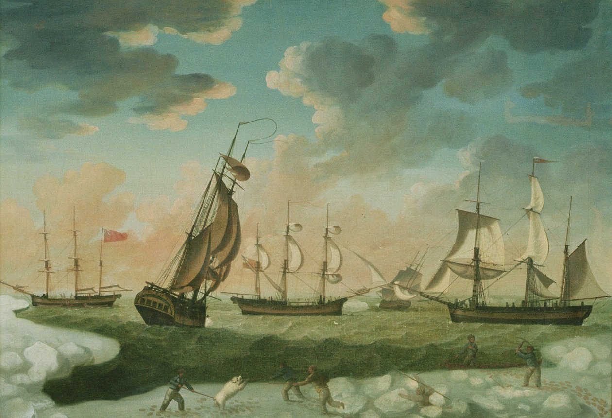 Sarkvidéki jelenet alkotó: Robert Willoughby