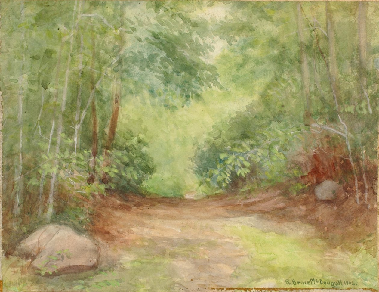 Névtelen erdei jelenet, 1902. alkotó: Robert Bruce McDougall