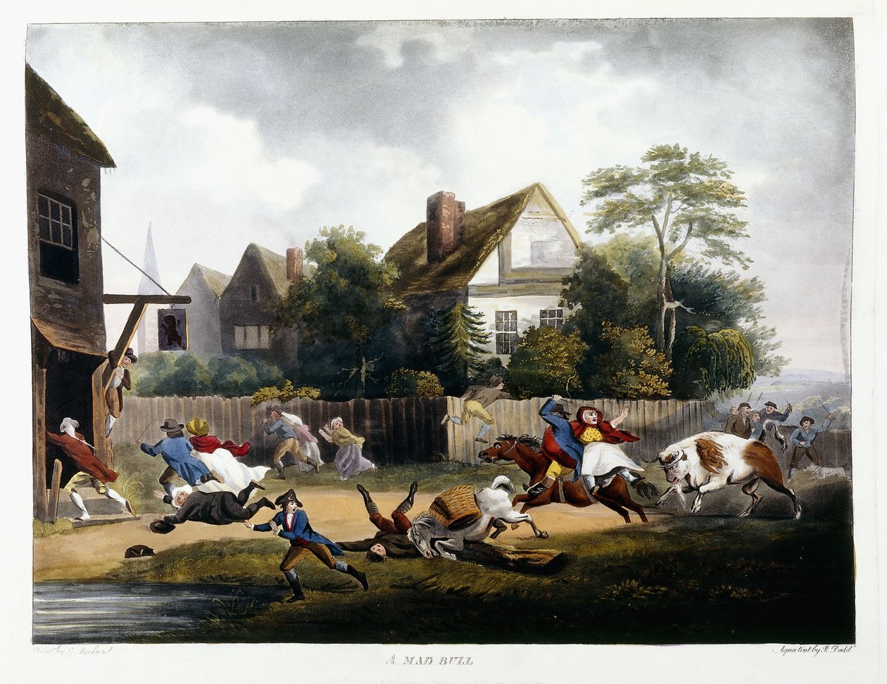 Egy őrült bika, 1806 alkotó: Robert Dodd