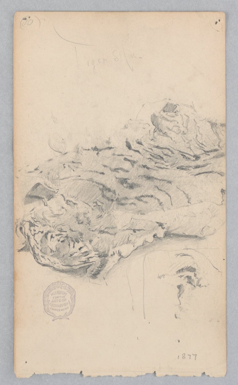 Tigrisbőr szőnyeg alkotó: Robert Frederick Blum