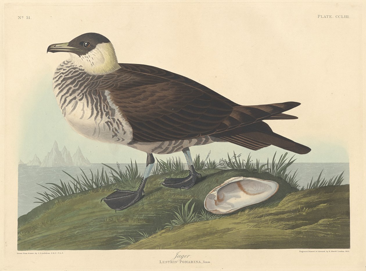 Jager, 1835. alkotó: Robert Havell