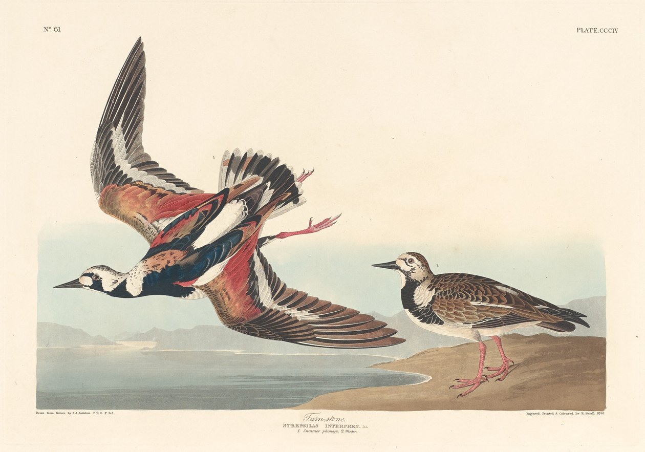 Kőforduló, 1836. alkotó: Robert Havell