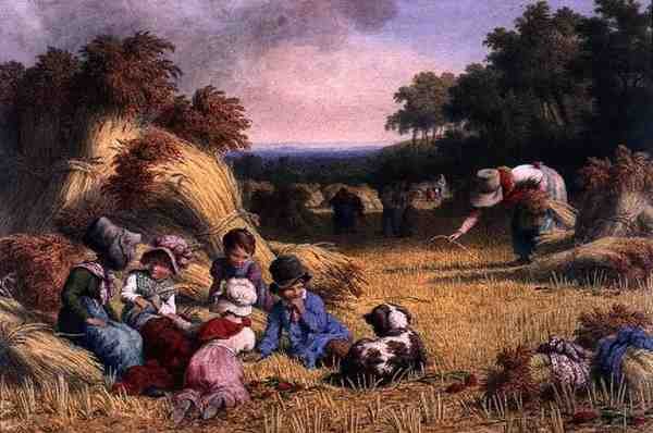 Szüreti mező alkotó: Robert Hills