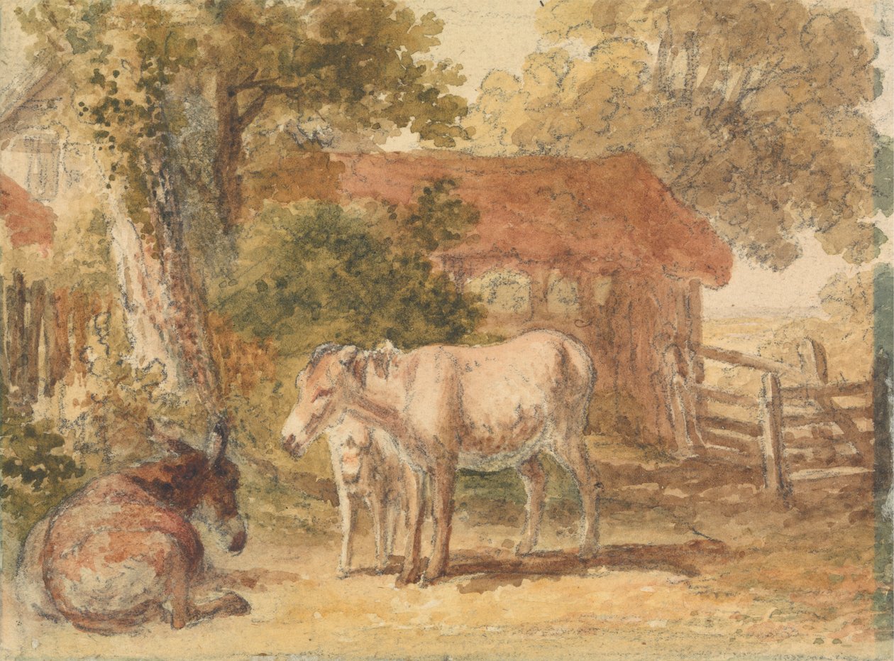 Három szamár alkotó: Robert Hills