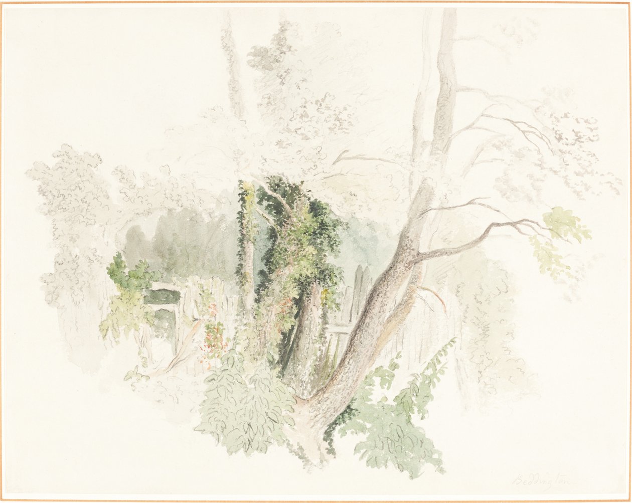 Fák Beddingtonban alkotó: Robert Hills