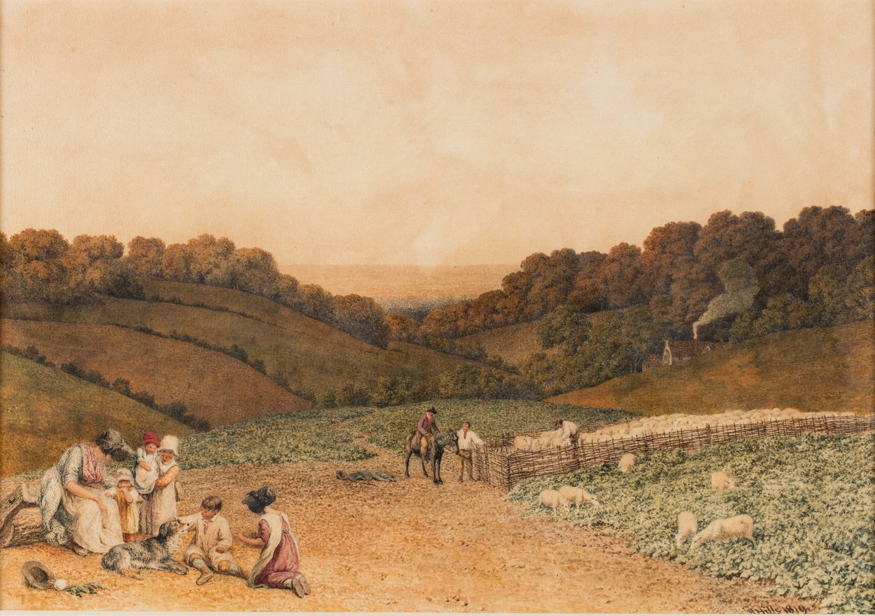 Répa mező alkotó: Robert Hills
