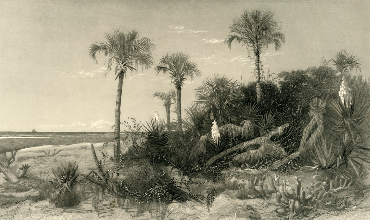 „Florida partján”, 1872. alkotó: Robert Hinshelwood