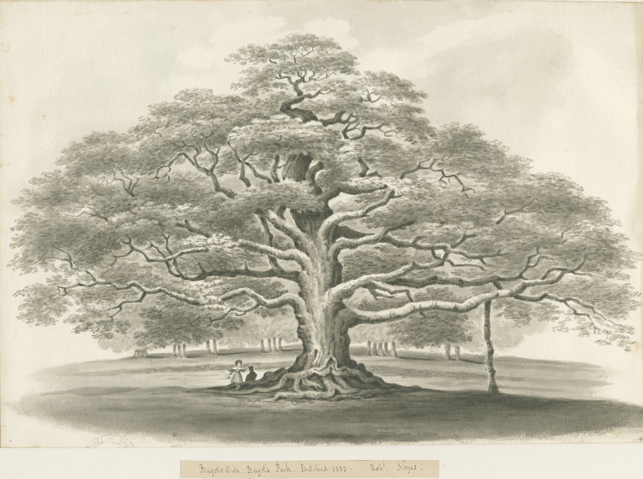 Blithfield – Bagot