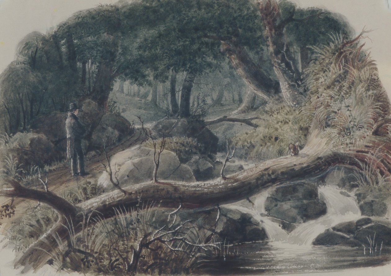 Az erdő bejárata, 1836. alkotó: Robert Walter Weir