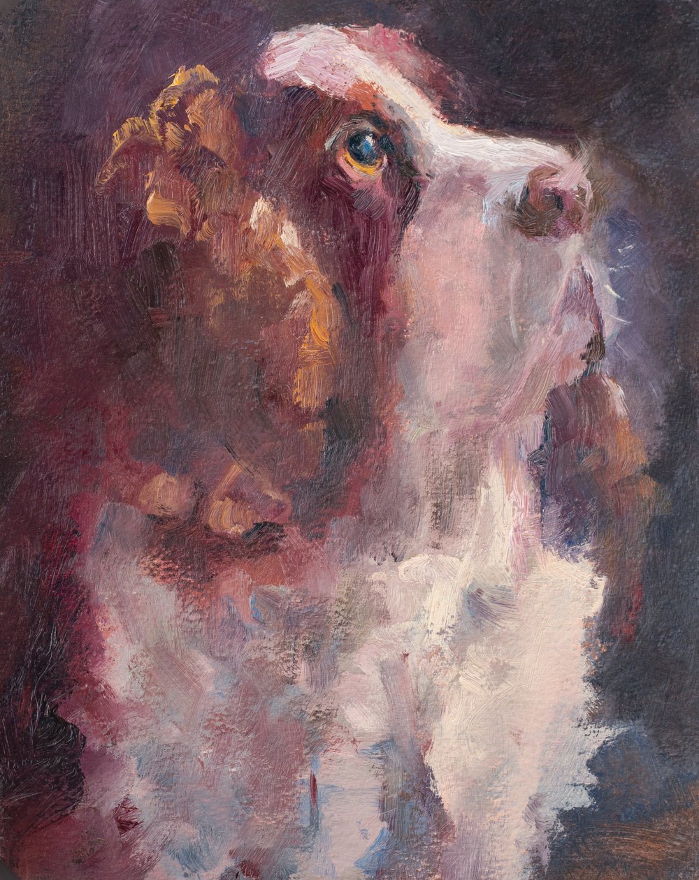 Romeo, 2015 (olaj, tábla) alkotó: Roberta Murray