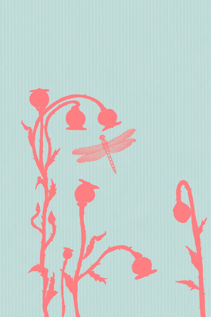 The Poppy, 2023 (digitális) alkotó: Roberta Murray