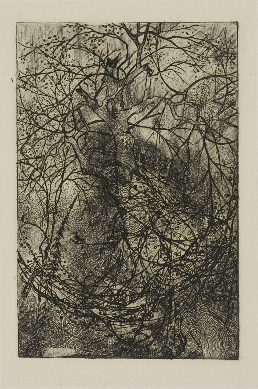 Fa ágak alkotó: Rodolphe Bresdin