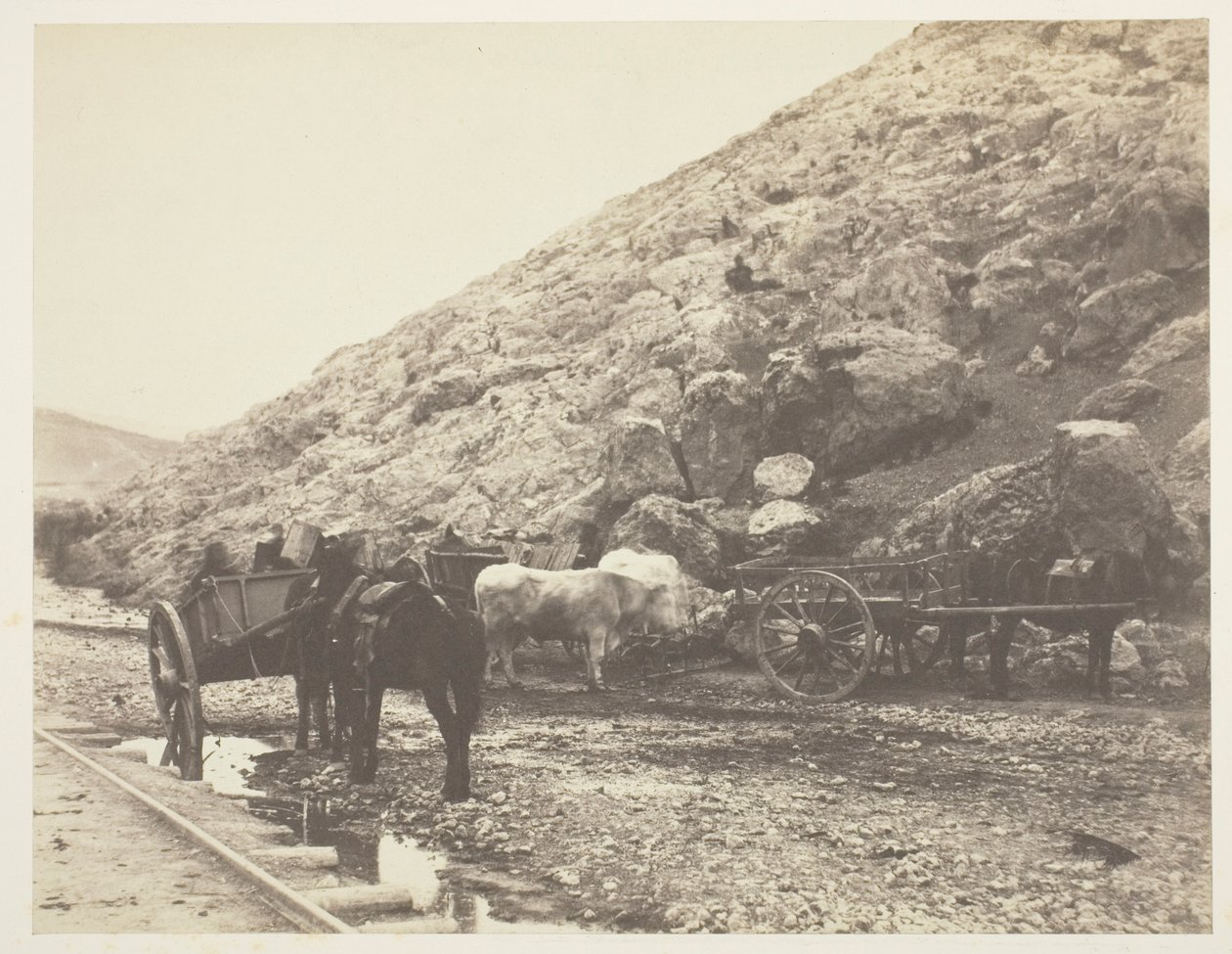 Szarvasmarha és szekerek, elhagyják Balaklavát, 1855. alkotó: Roger Fenton