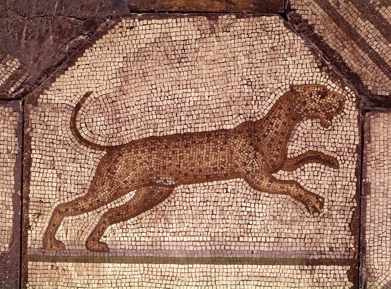 Egy leopárd, részlet az Orpheus elbűvöli az állatokat (mozaik) című képből. alkotó: Roman