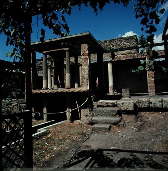 Egy villa alkotó: Roman