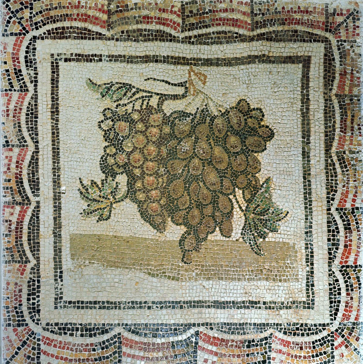 Fehér szőlőfürt, római mozaik (mozaik) alkotó: Roman