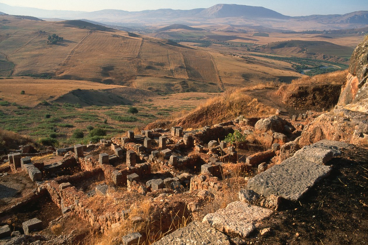 A helyszín általános nézete alkotó: Roman