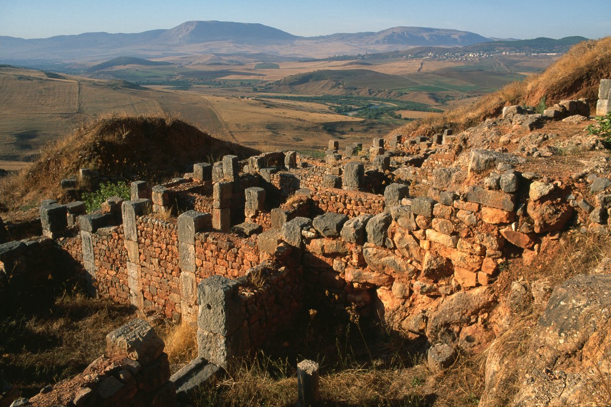 Az oldal általános képe alkotó: Roman