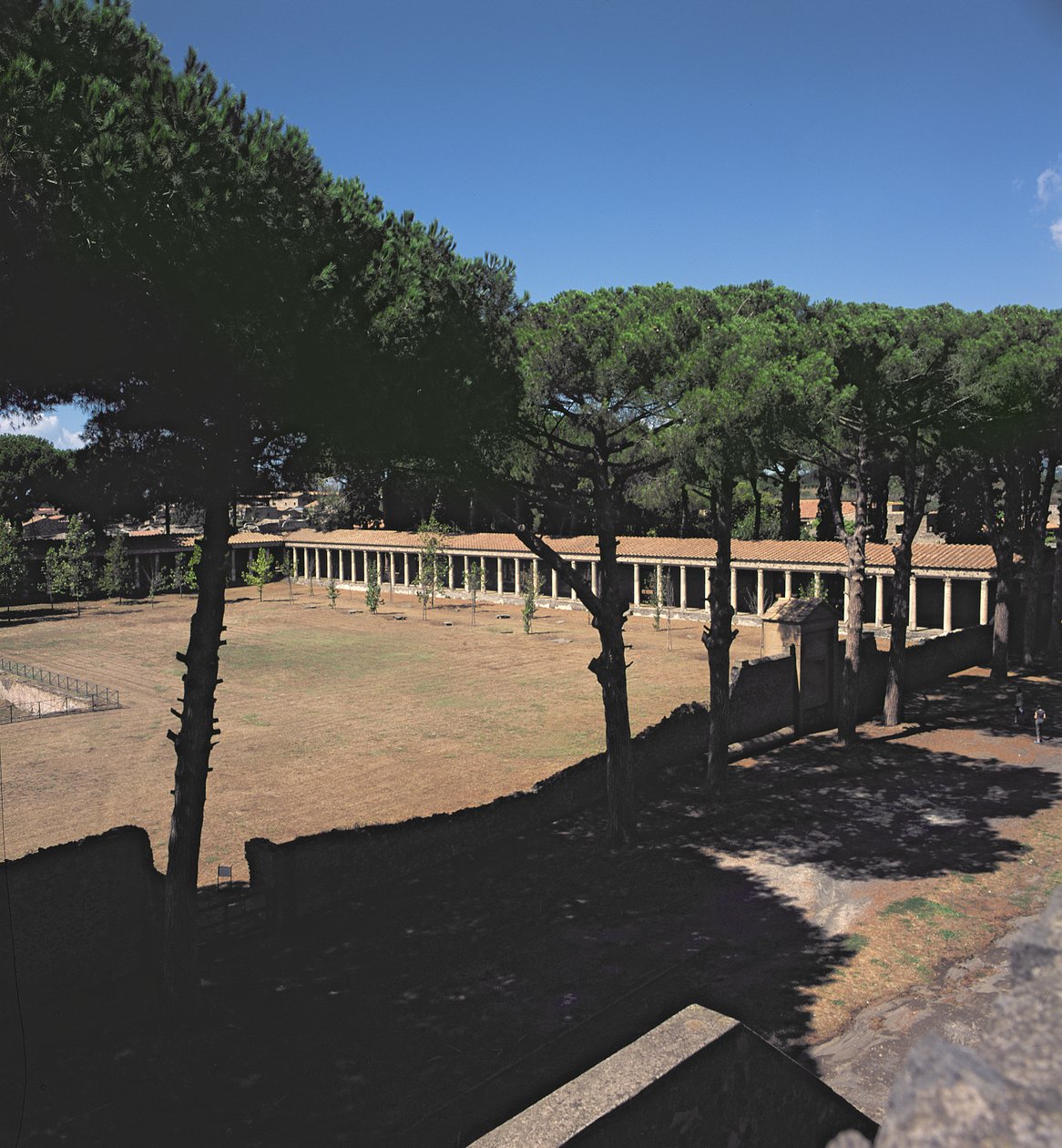 A Nagy Palaestra alkotó: Roman