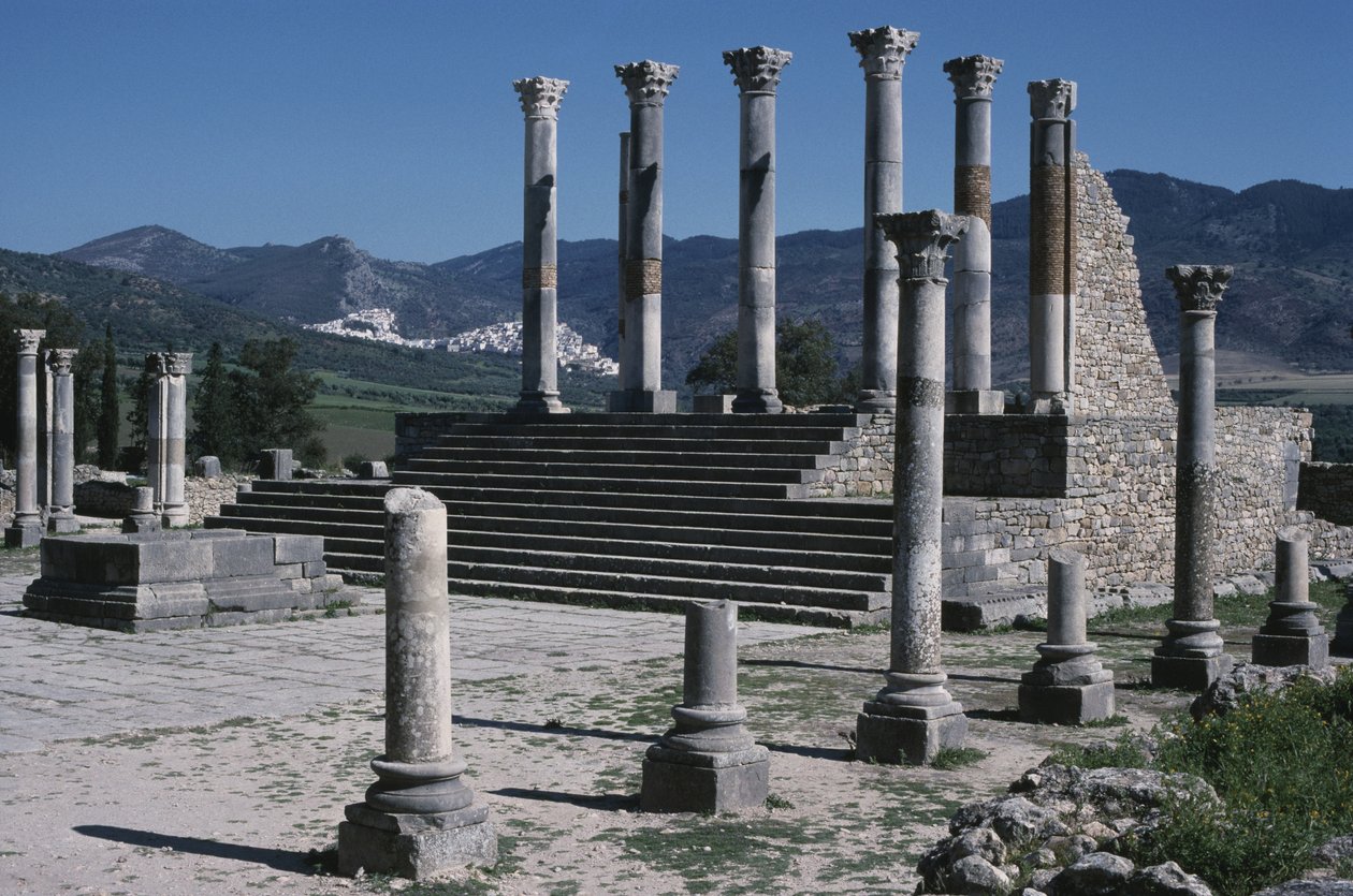 Kilátás a fővárosra alkotó: Roman