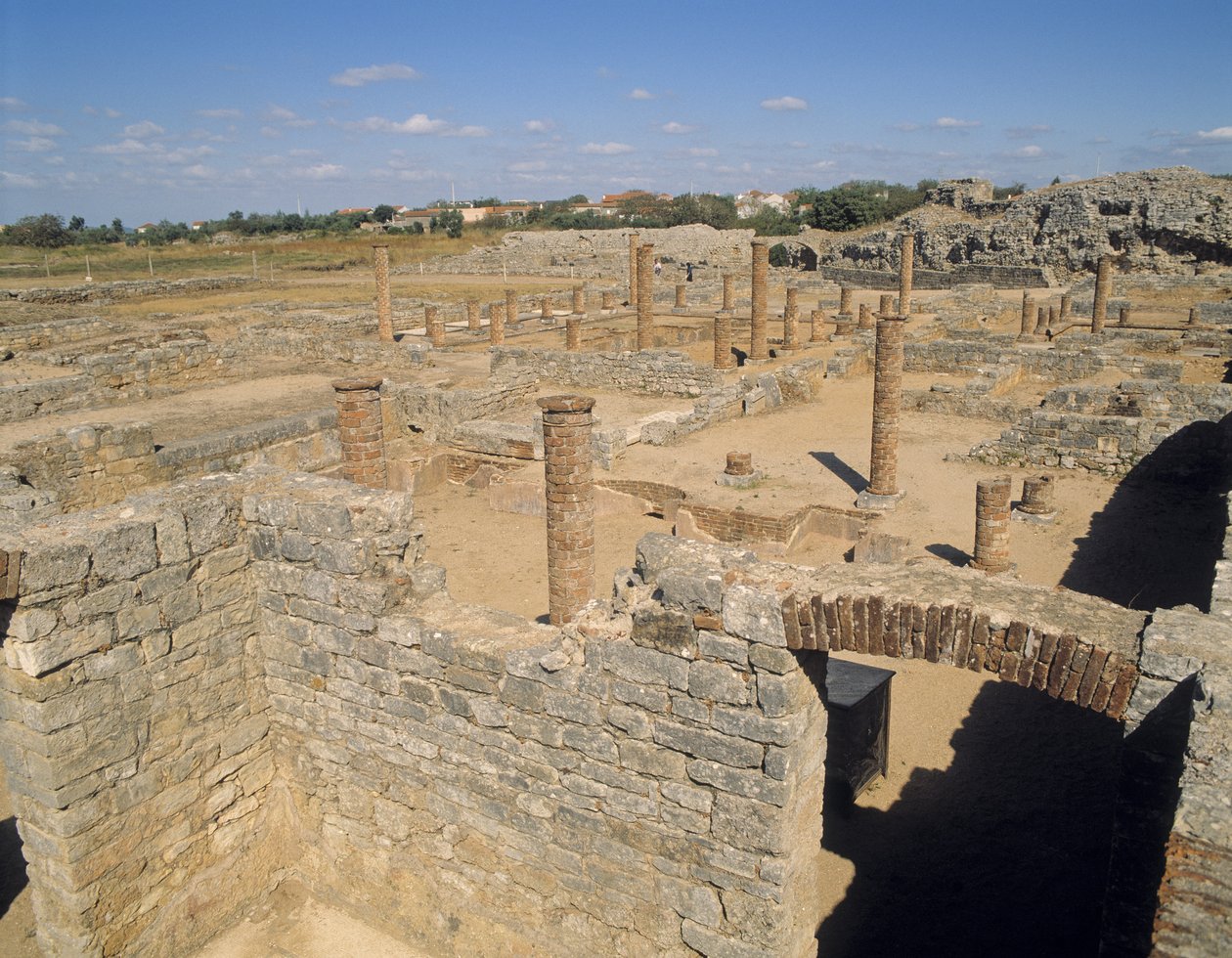 Kilátás a romokra alkotó: Roman