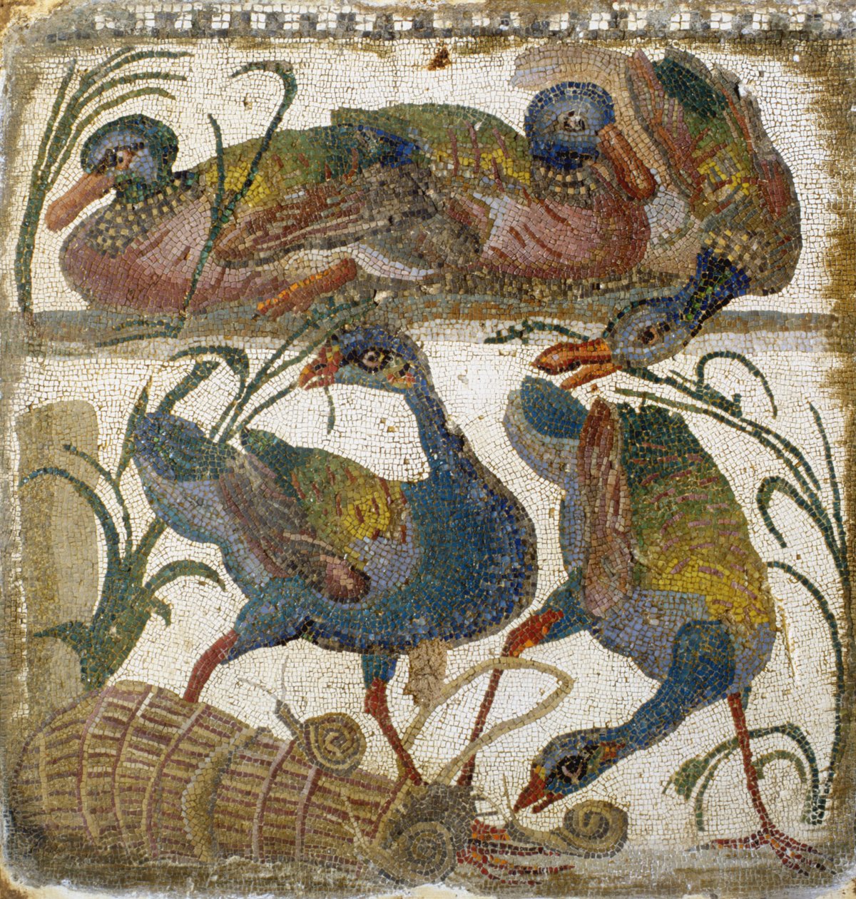 Vízimadarak (mozaik) alkotó: Roman