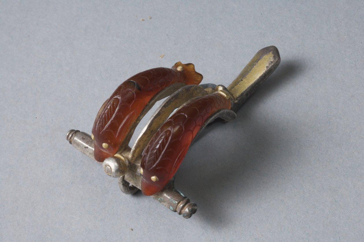 Fibula delfinekkel (karneol, arany és ezüst) alkotó: Roman Imperial Period