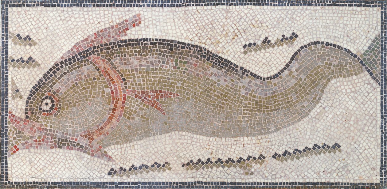 Delfin, Tuniszból, Kr.u. 3-5. század (mozaik) alkotó: Roman Roman