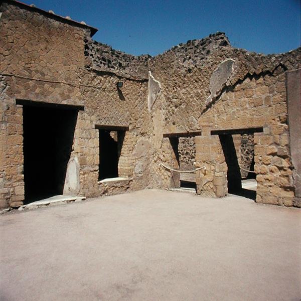 A csontváz háza alkotó: Roman Roman
